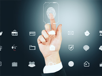 Background Verification